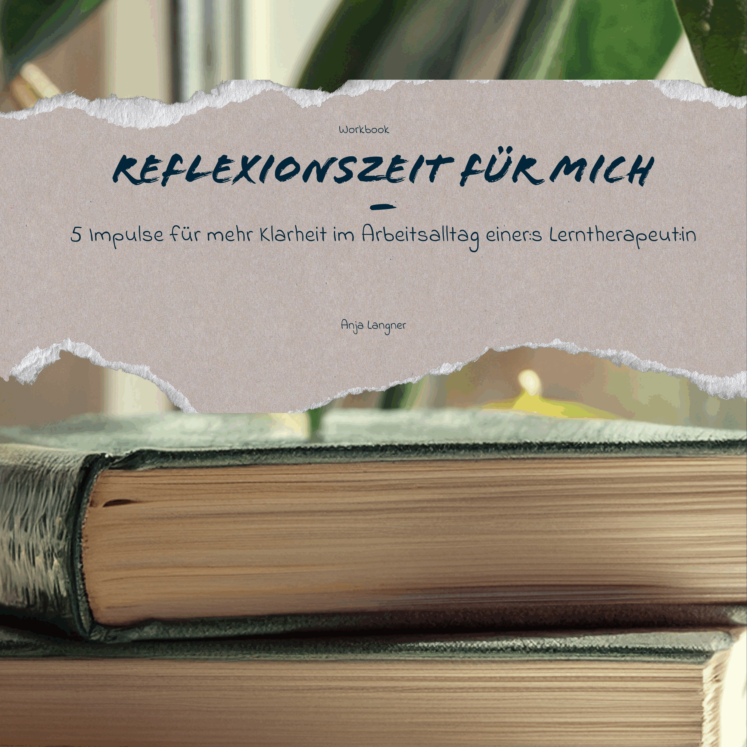 Workbook, Lerntherapie, lerntherapeuten, pädagogen, Supervision